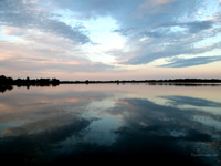 Liquid Horizon