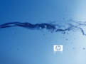 Hewlett Packard